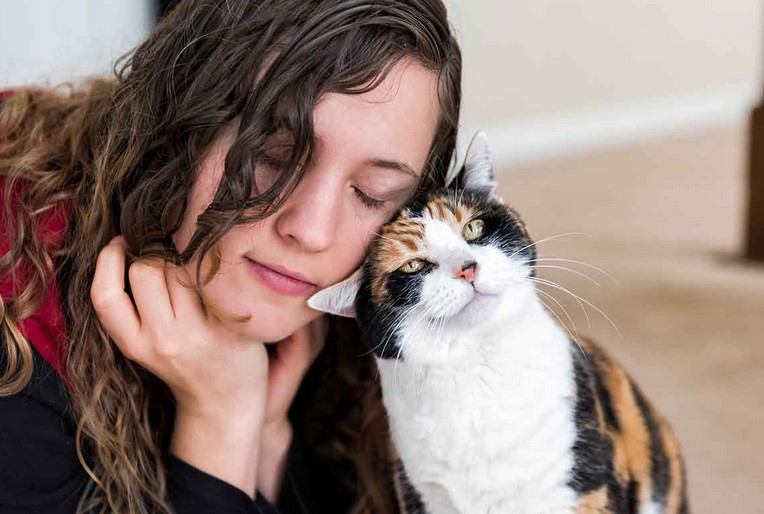 Do Cats Feel Love to Owners