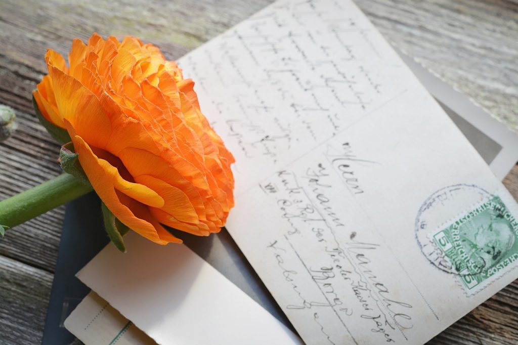 The Ranunculus: Its Meanings and Symbolism