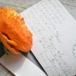 The Ranunculus: Its Meanings and Symbolism