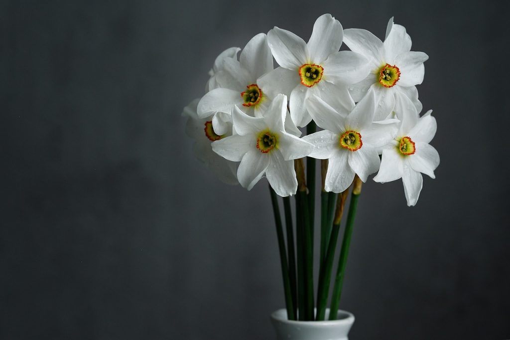 How to Make a Daffodil Centerpiece